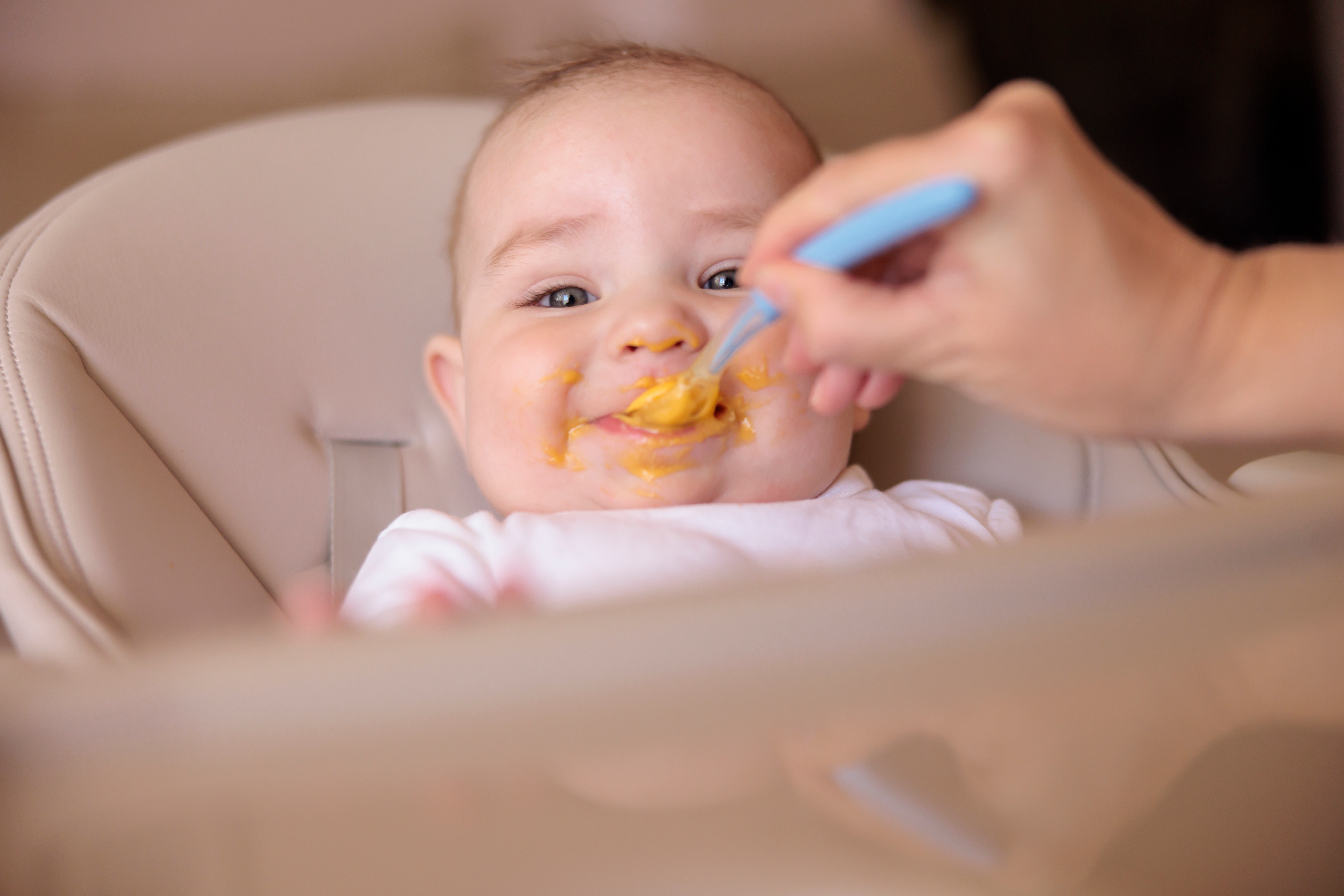 Best Baby Food for 6 Months in India: A Parent's Complete Guide